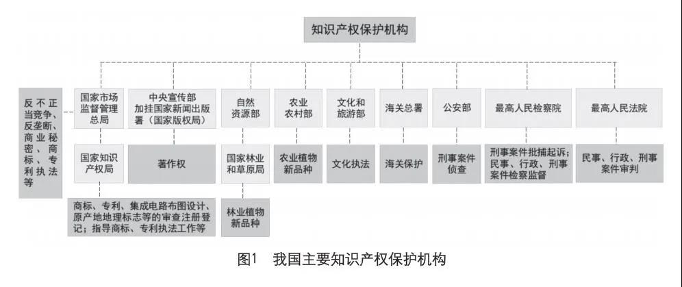 知识产权?；せ?jpg