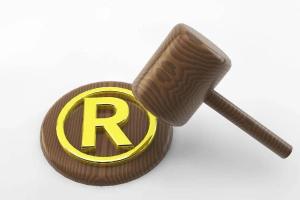 南京市2025年度知识产权行政保护典型案例